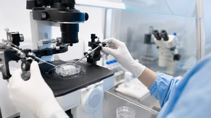 Mikroskop ve hassas laboratuvar ekipmanlarıyla yürütülen embriyoloji çalışması